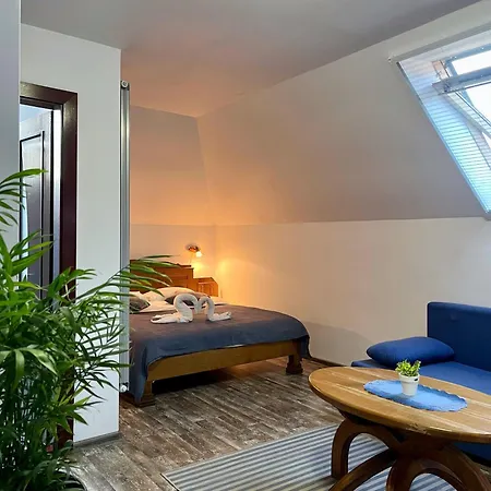 Guest house Cetatuia - Ultra-central - Parking And Nature Close To Bran, Dino Parc And *
